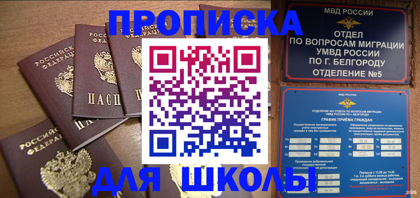 прописка гарантия в Котово